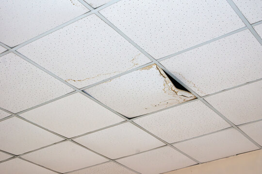 Damaged ceiling tile with water stains and structural failure