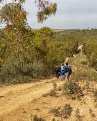 Fototapeta premium A winding trail leads into a forest, with several people walking along it. A natural landscape that evokes adventure and exploration