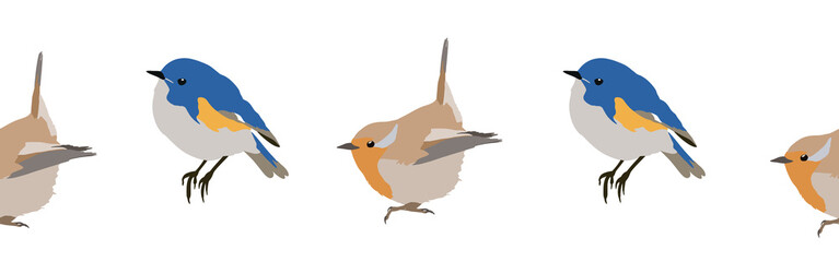 Bird con border. Bird feather silhouette symbol. Bird border isolated on a white background