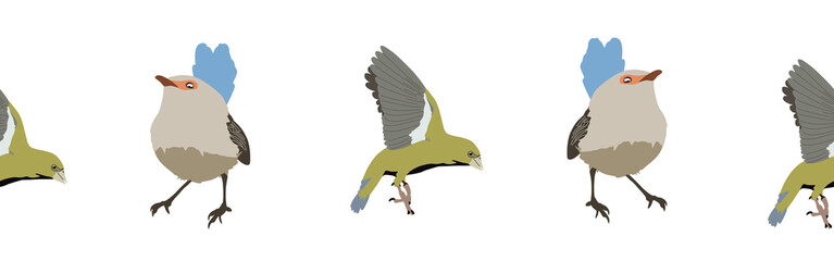 Bird con border. Bird feather silhouette symbol. Bird border isolated on a white background