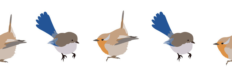 Bird con border. Bird feather silhouette symbol. Bird border isolated on a white background