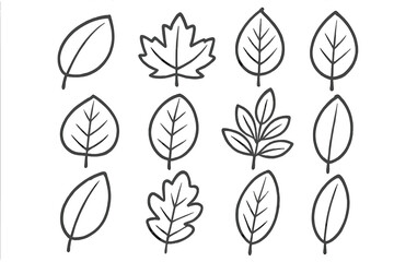 Set of various leaf outlines in different shapes and sizes, hand-drawn vector cartoon illustration, transparent background, diverse natural foliage collection, ordered botanical design