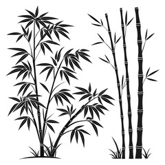 Black bamboo stalks and leaves plant leaf