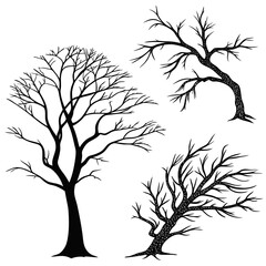 Black tree branches silhouettes bare winter