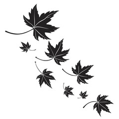 Falling maple leaves autumn