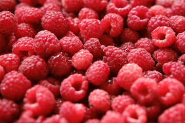 Sweet raspberry background. Full frame of fresh raspberries. Red ripe berry photo wallpaper closeup. Juicy berries. Vegetarian, vegan raw food. Organic bio product. From farm to table. Fruit pattern