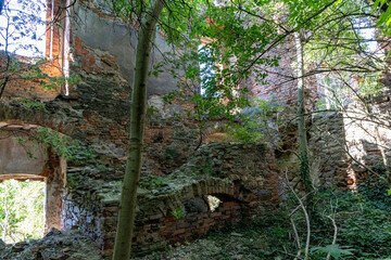 Ruins of an Abandoned Stone House in the Forest, German building in Poland, Mietkow, Borzygnev.