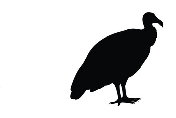 Vulture silhouette vector image for graphic design projects and web design resources download now