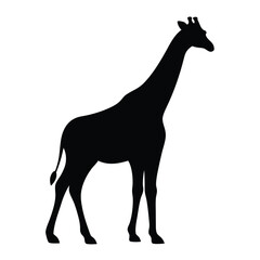 Giraffe silhouette vector illustration african wildlife animal safari outline zoo design tall neck mammal africa nature black and white art