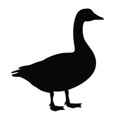 Isolated goose silhouette vector illustration for graphic design and web design projects use black goose