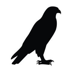 Download the best high resolution silhouette of a falcon bird vector image graphic for free use
