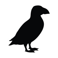 Fototapeta premium Silhouette of atlantic puffin seabird vector illustration wildlife birdwatching design element art