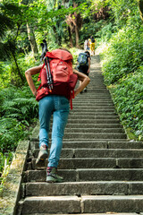 hiking the sacred stairs, Emeishan, Leshan Prefecture, Sichuan, People's Republic of China, Asia