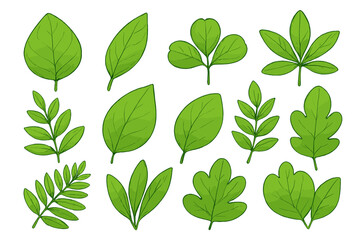 Detailed green leaves illustration with various shapes and arrangements, vector cartoon style, floral foliage collection, botanical design elements, natural plant leaves set for graphic design