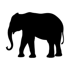 Elephant silhouette vector illustration african wildlife animal design zoo safari graphic art image
