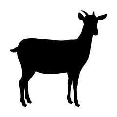 Goat silhouette vector image, farm animal illustration, black goat outline, goat clipart graphic design