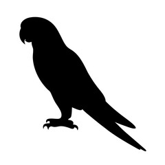 Black parrot silhouette vector illustration exotic bird tropical wildlife pet shop avian design nature art