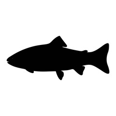 Silhouette of a trout fish for fishing enthusiasts and seafood lovers a great aquatic animal art