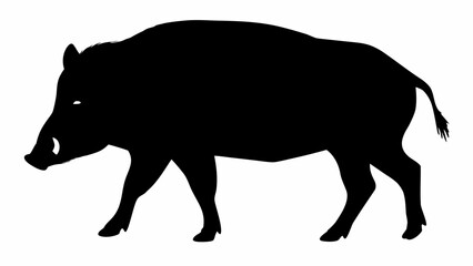 Silhouette of a wild boar walking with visible tusks and a short tail on a white background image view