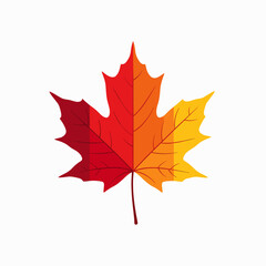 Fototapeta premium A Vibrant Maple Leaf Symbolizes the Colors of Autumn