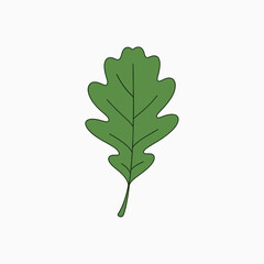 A Single Green Oak Leaf Detailed With Natural Veins And Lobed Edges