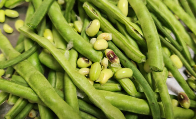 Prepared cowpeas for cooking, a type of legume common in Turkey, known for their tender pods and beans, and often used in fresh salads or cooked dishes