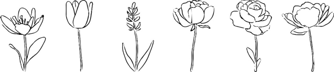 Minimalist line art collection featuring elegant flower designs for aesthetic decor and tattoos