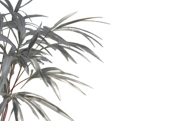 Silver-toned palm fronds against black