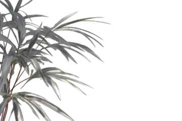 Silver-toned palm fronds against black