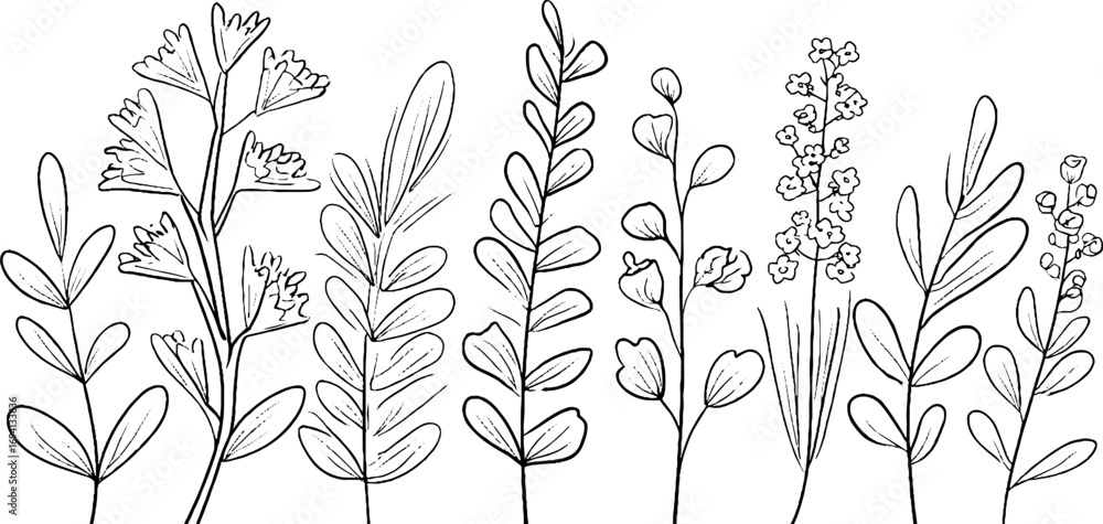 Poster minimalist line art of elegant botanical elements for design and decor