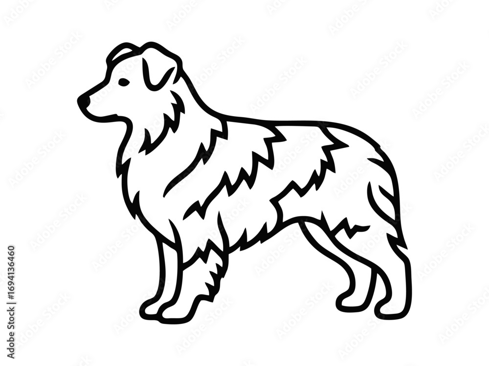 Canvas Prints vector isolated one single aussie australian shepherd dog head portrait front view black and white b