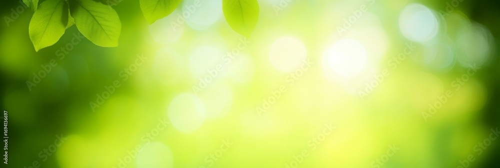 Poster vibrant sunlit fresh green foliage background with soft bokeh effect for design and presentation use