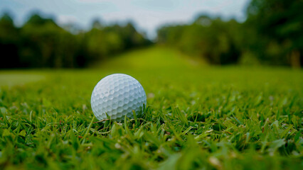 Golf ball is on a green lawn in a beautiful golf course with morning sunshine.