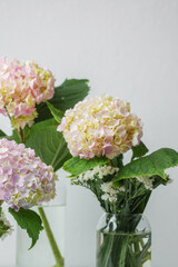 Bright hydrangea bouquet with natural light – ideal for lifestyle blog visuals or floral mockups