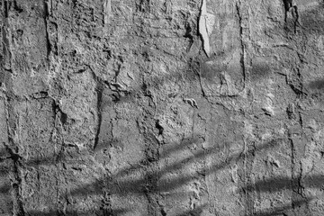 Gray textured stone wall with sunlight shadows for architecture and background concept