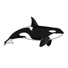 Naklejka premium ilustrasi paus orca dengan support ai