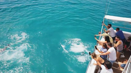Tourists on a boat watching marine animals.