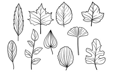 set of vector leaves