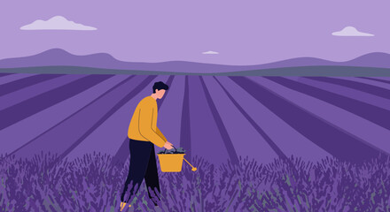 Man collecting fragrant lavender in a vast field, symbolizing farming, natural beauty, and sustainable agriculture. Ideal for aromatherapy and organic concepts.