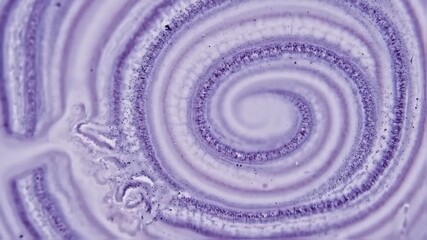 Abstract purple concentric circles texture - Powered by Adobe