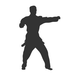 Karate in vector, flat style. Sportsman in vector.	