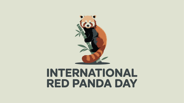 International Red Panda Day Celebration with Red Panda Illustration