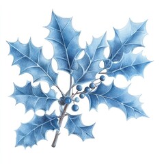 Naklejka premium Blue Christmas holly leaves leaf watercolor nature.