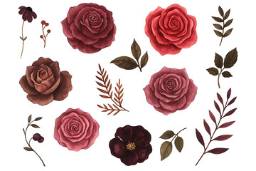 Watercolor flowers set. Black, red, burgundy roses, leaves, branches, isolated on white background 