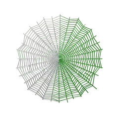 Obraz premium Symmetrical spiderweb, half colored green and half colored silver, isolated on a white background.