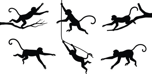 Silhouette of playful monkeys swinging, jumping on branches, wild animals in nature, jungle wildlife, primate movement, animal behavior, active monkeys, tree climbing, forest scene, nature adventure.
