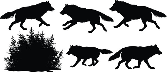 Wolf silhouette running and walking in forest, black wild animal vector illustration, nature wildlife design for print, tattoo, decoration, artwork.