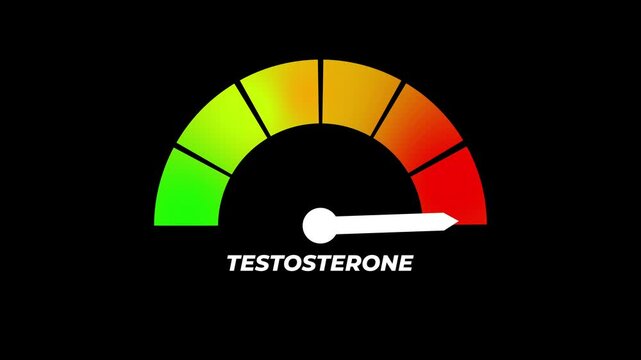 Animated digital testosterone gauge meter presentation, moving from low to healthy normal level, vitality concept, health monitoring, animated indicator, medical data visualization, Copy space.