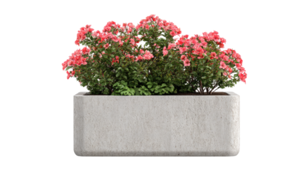 Stone city planter filled with abundant pink flowers isolated on black.