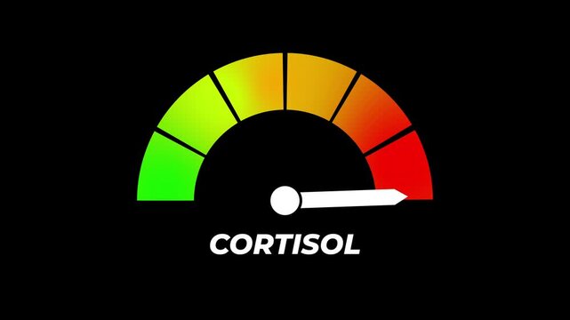 Animated digital gauge displays cortisol level, ranging from safe low to critical high, indicator changes through green, yellow, and red levels on dashboard.